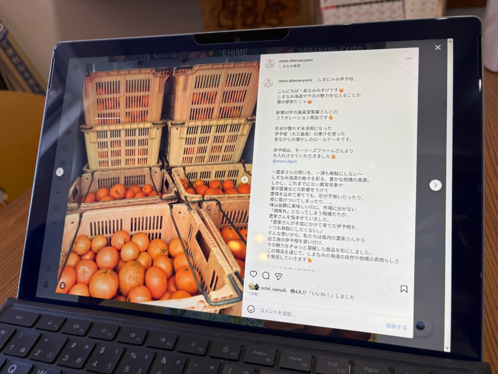 未活用の伊予柑の画像