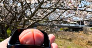 旬菓 槐のアイキャッチ画像